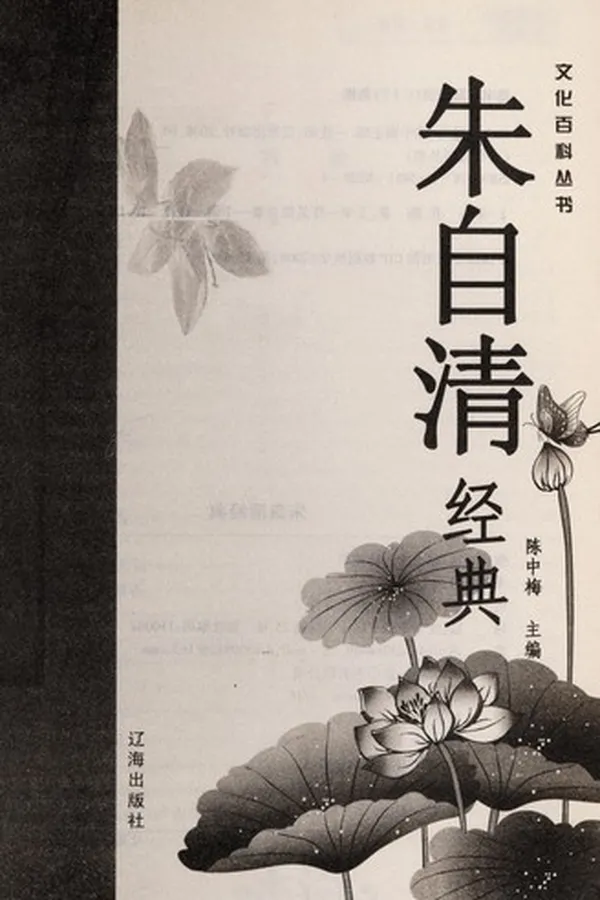 Capa de Zhu zi qing jing dian
