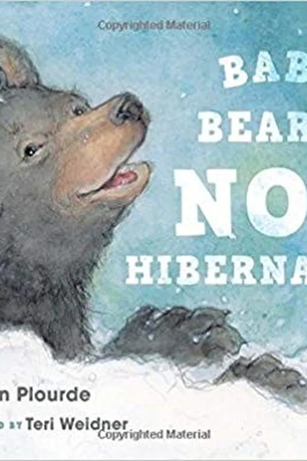 Capa de Baby Bear’s Not Hibernating