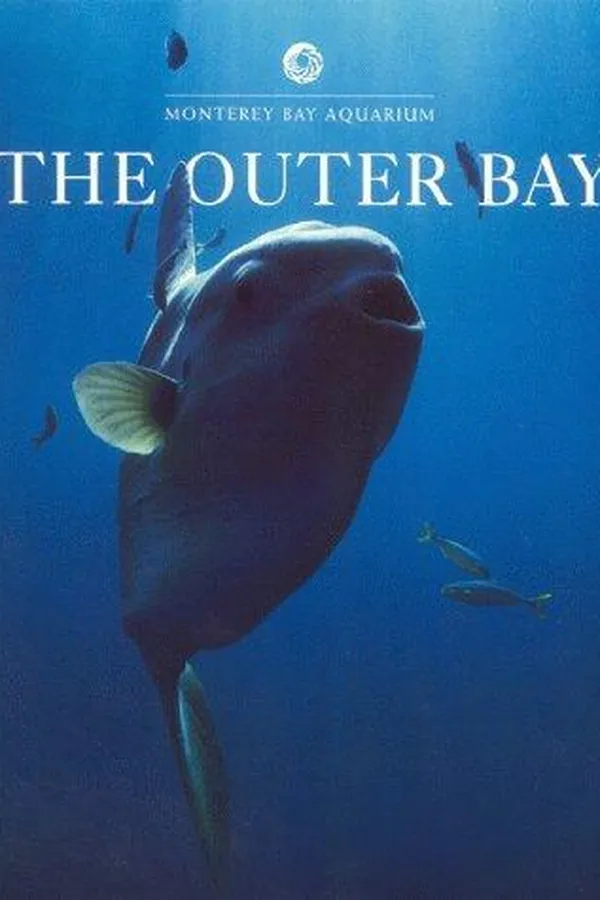 Capa de The Outer Bay