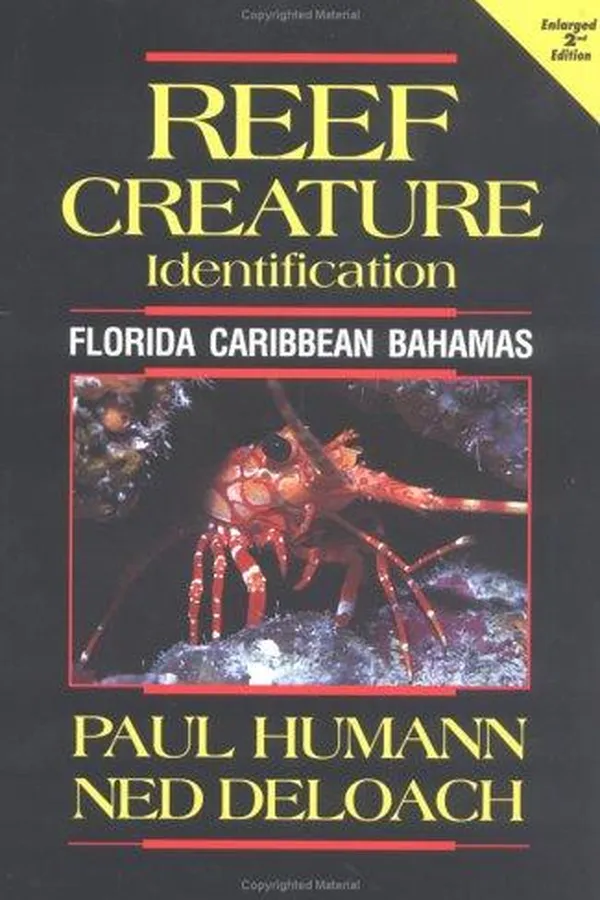 Cover of Reef creature identification