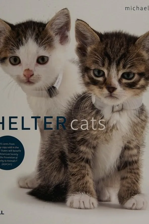 Cover of Shelter cats