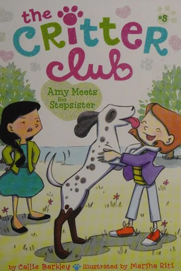 Capa de Amy meets her stepsister