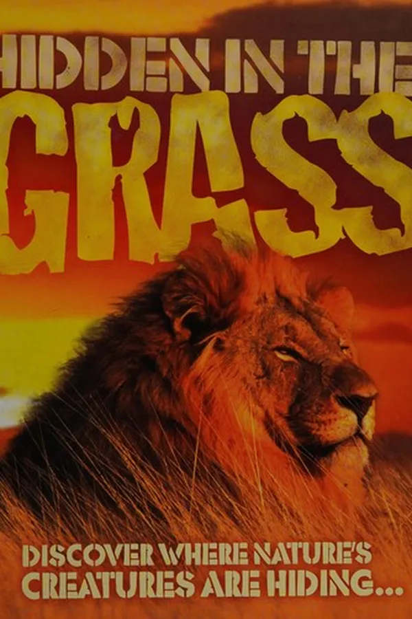 Capa de Hidden in the grass