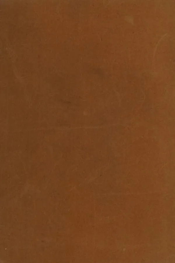 Capa de Texas Camel Tales