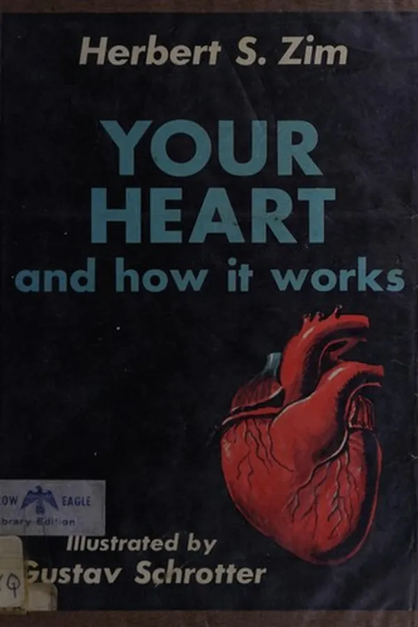 Cover of Your heart and how it works