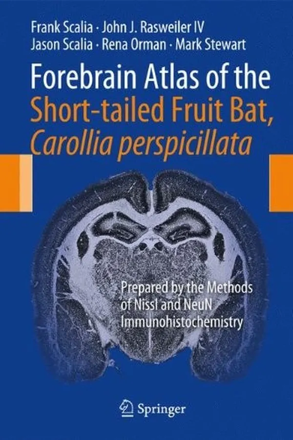 Capa de Forebrain Atlas of the Short-tailed Fruit Bat, Carollia perspicillata