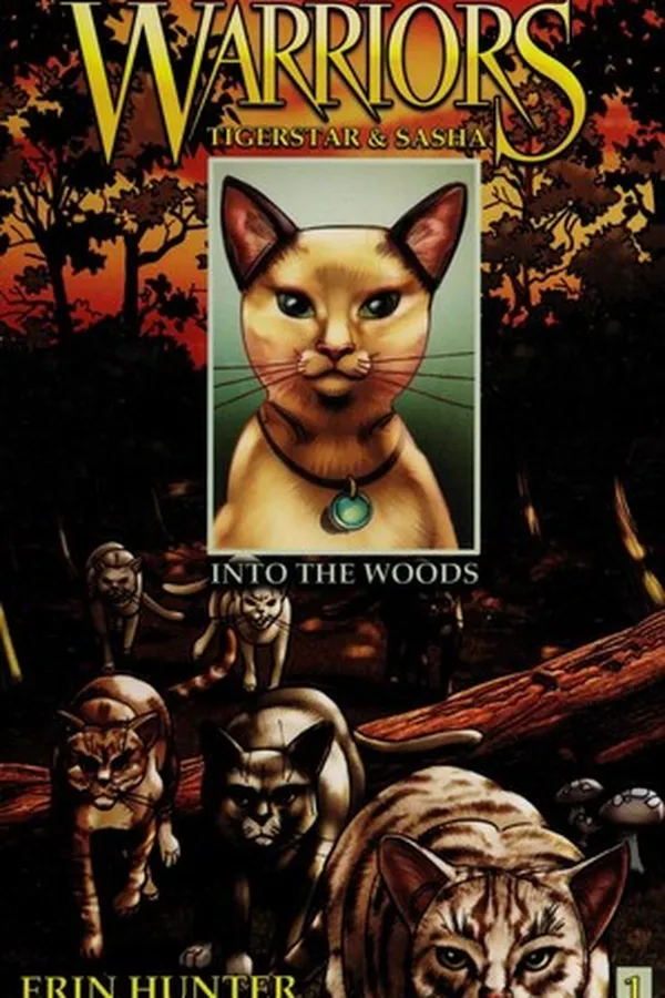 Capa de Into the Woods