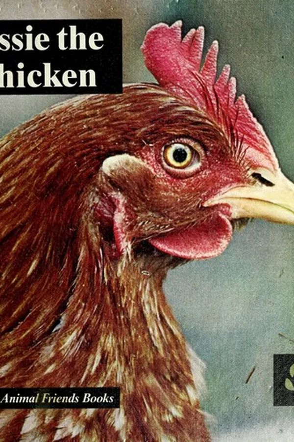 Capa de Jessie the chicken