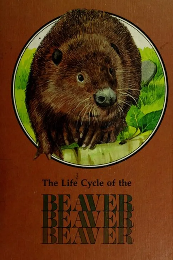 Capa de The Beaver