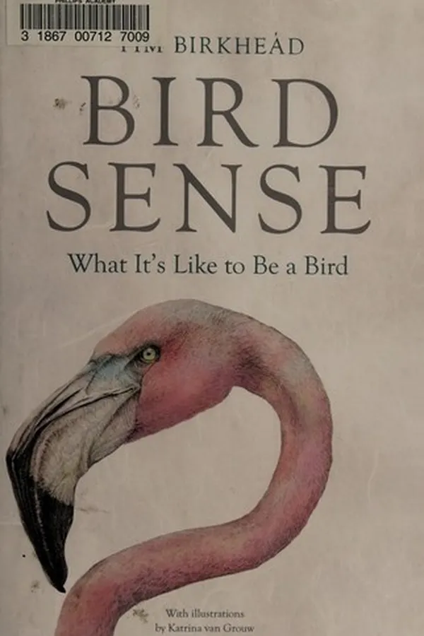 Capa de Bird sense