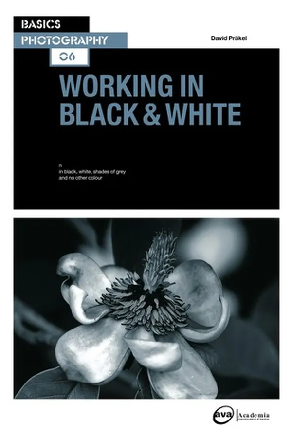 Capa de Working in Black and White