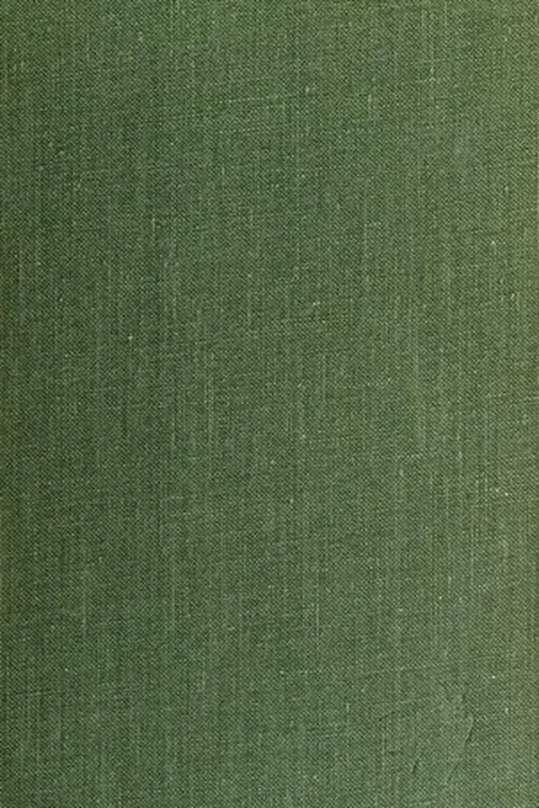 Capa de The American novel