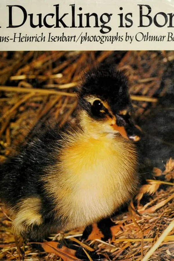 Capa de A duckling is born