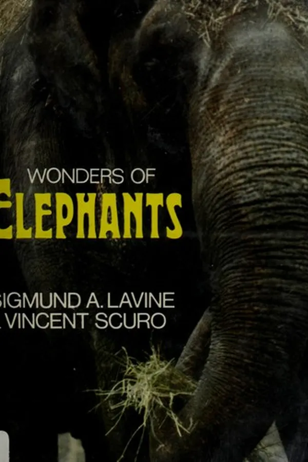 Capa de Wonders of elephants
