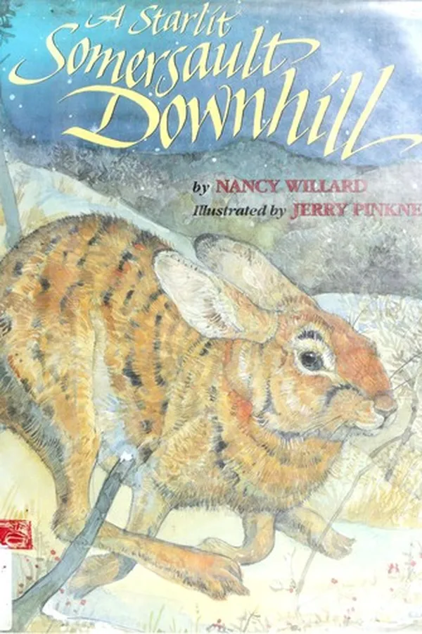 Capa de A starlit somersault downhill