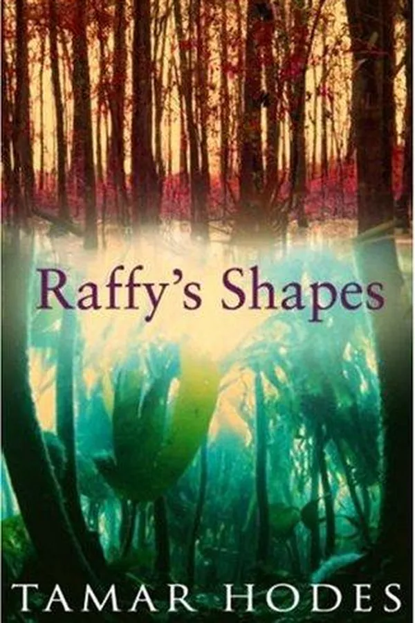 Capa de Raffy's Shapes