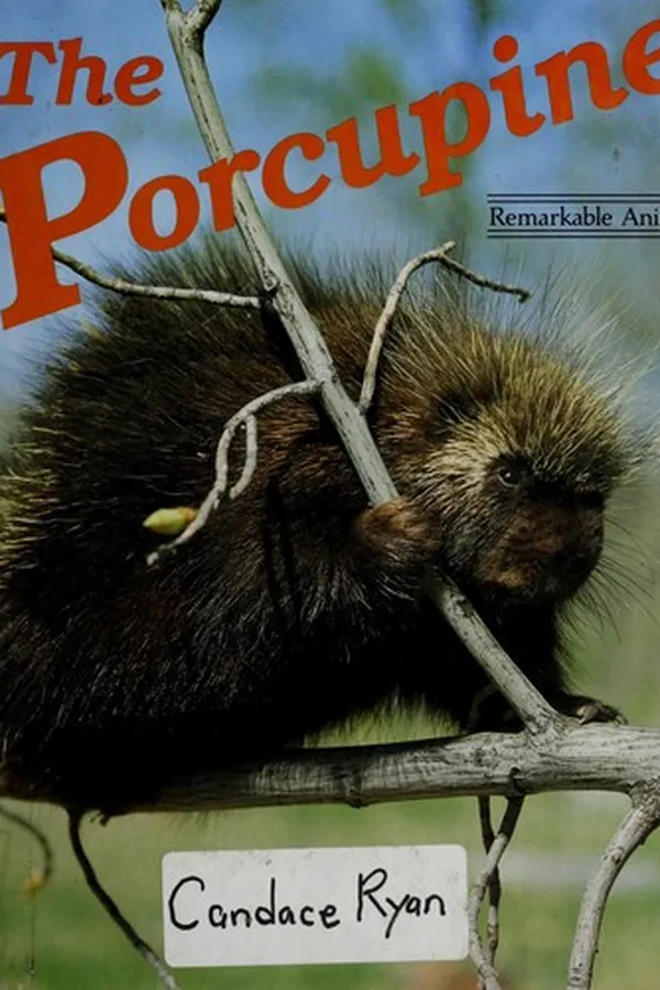 Capa de The porcupine