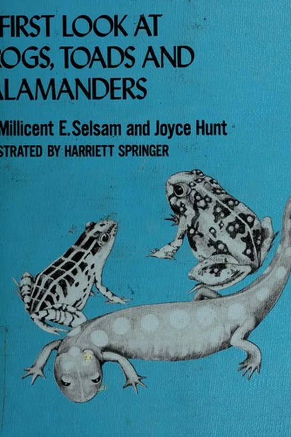 Capa de A first look at frogs, toads, and salamanders