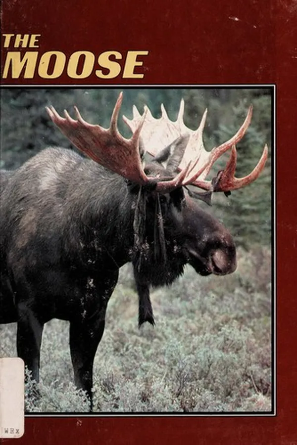 Capa de The moose