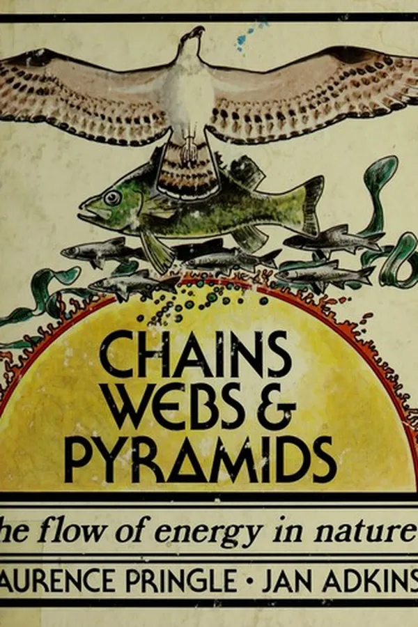 Cover of Chains, webs, & pyramids
