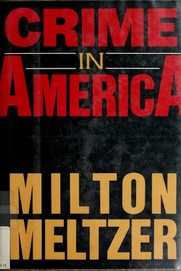 Capa de Crime in America