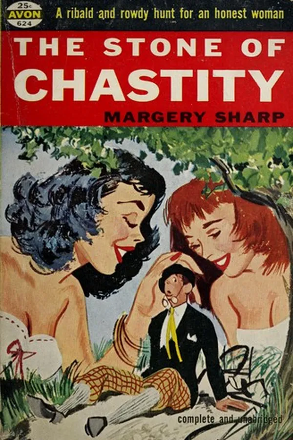 Capa de The stone of chastity