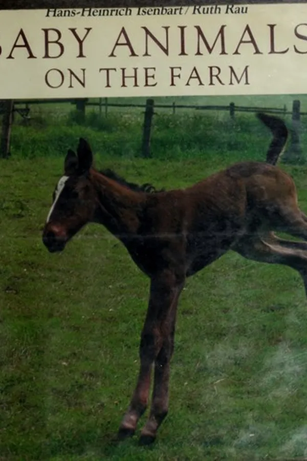 Capa de Baby animals on the farm