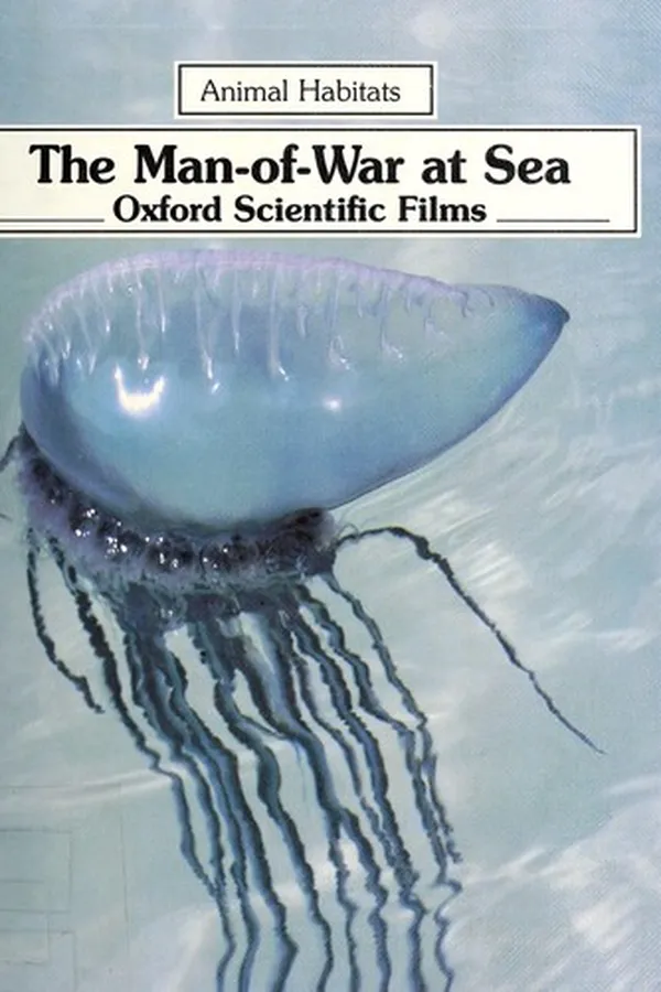 Capa de The man-of-war at sea