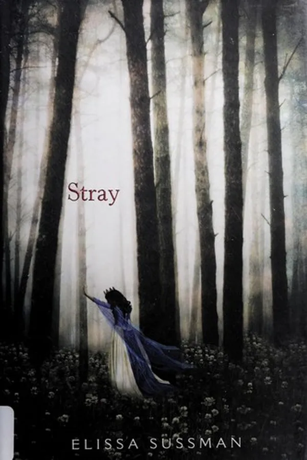 Capa de Stray