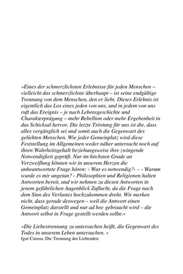 Capa de Zeitenwende