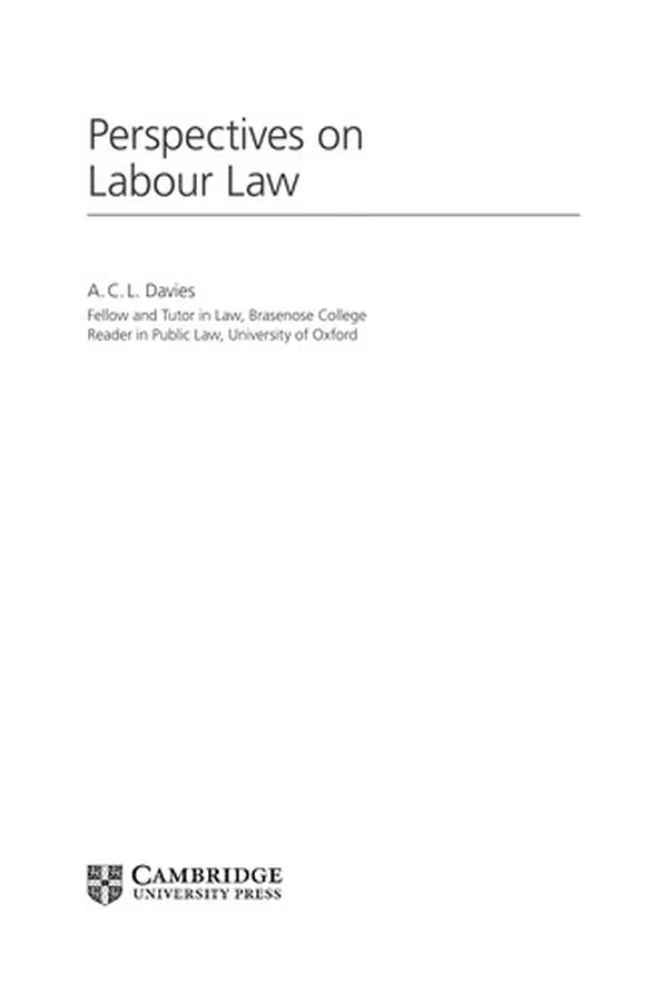 Capa de Perspectives on labour law