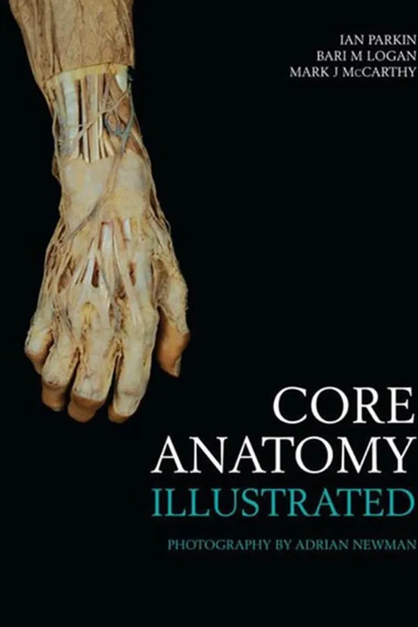 Capa de Core anatomy