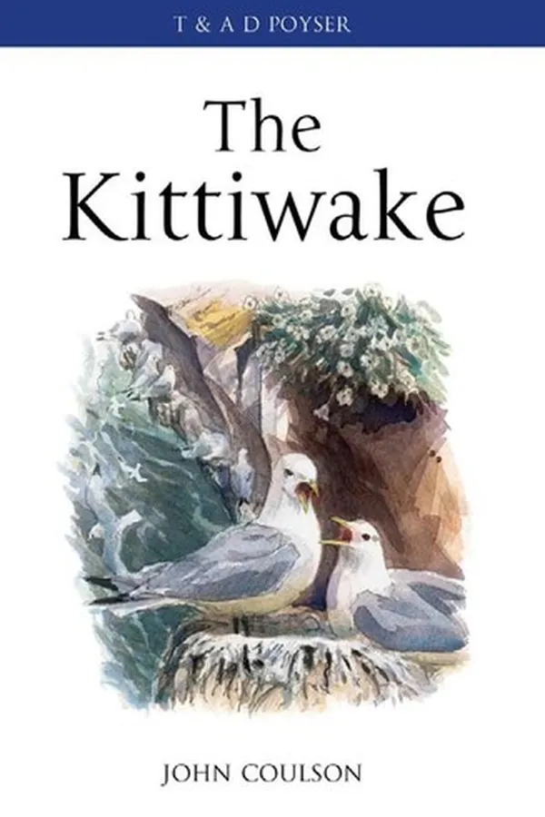 Capa de The Kittiwake