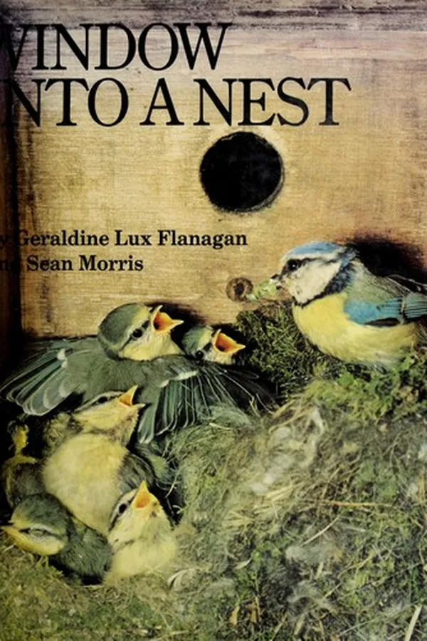 Cover of Window into a nest