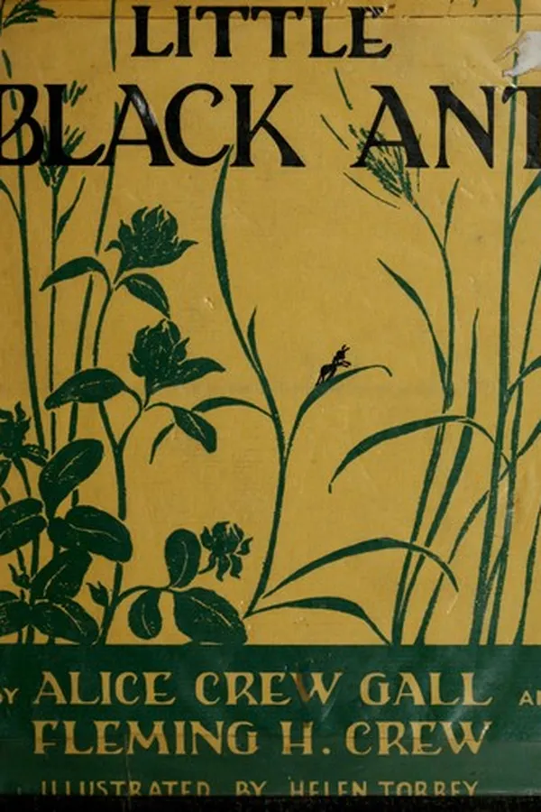 Cover of Little Black Ant