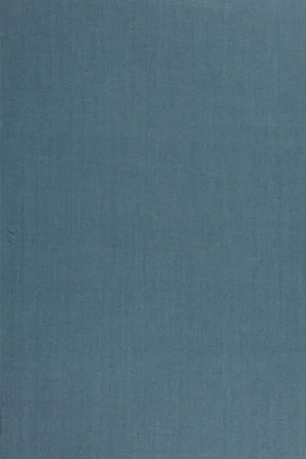 Capa de Thinking about development