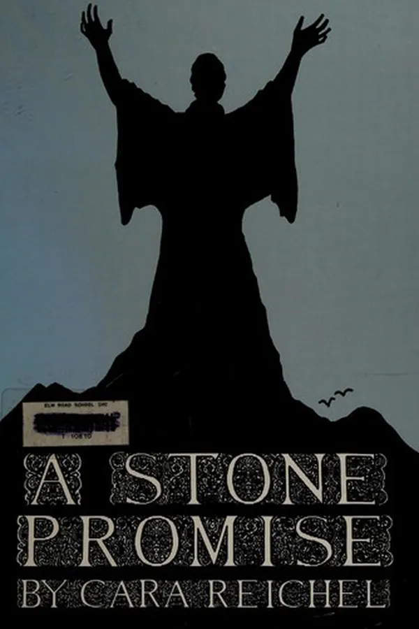 Capa de A stone promise