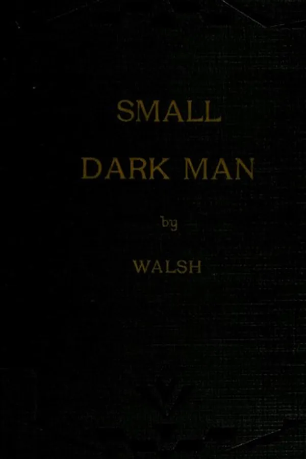 Capa de The small dark man