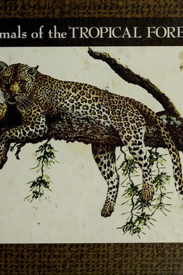 Capa de Animals of the tropical forests