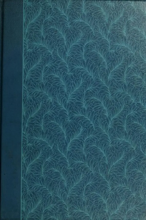 Capa de Baba Yaga