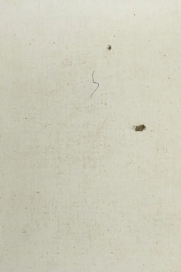 Capa de Reise an der nordwestküste Amerikas, 1881-1883