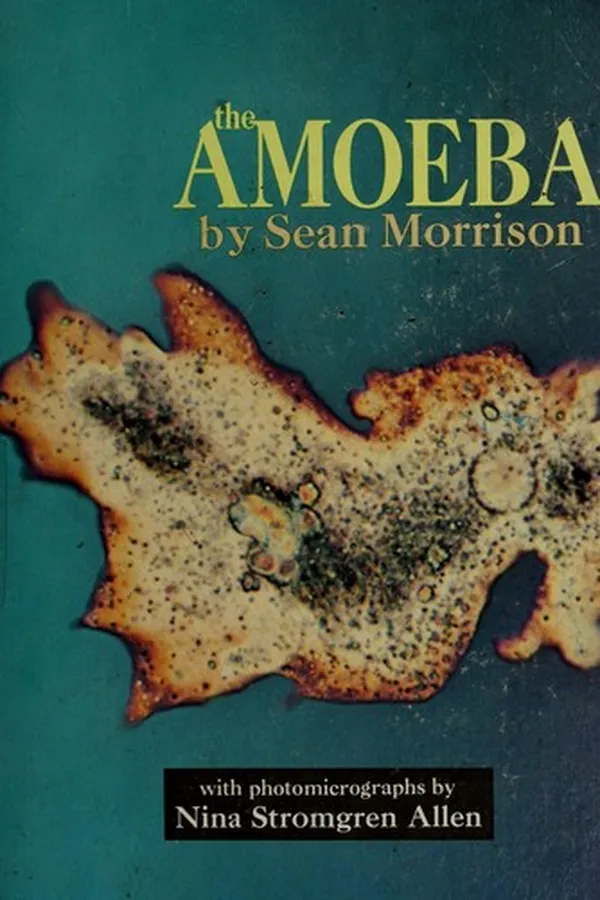 Capa de The amoeba