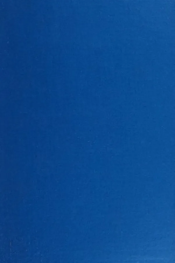 Capa de Shakespeare's Southampton, patron of Virginia