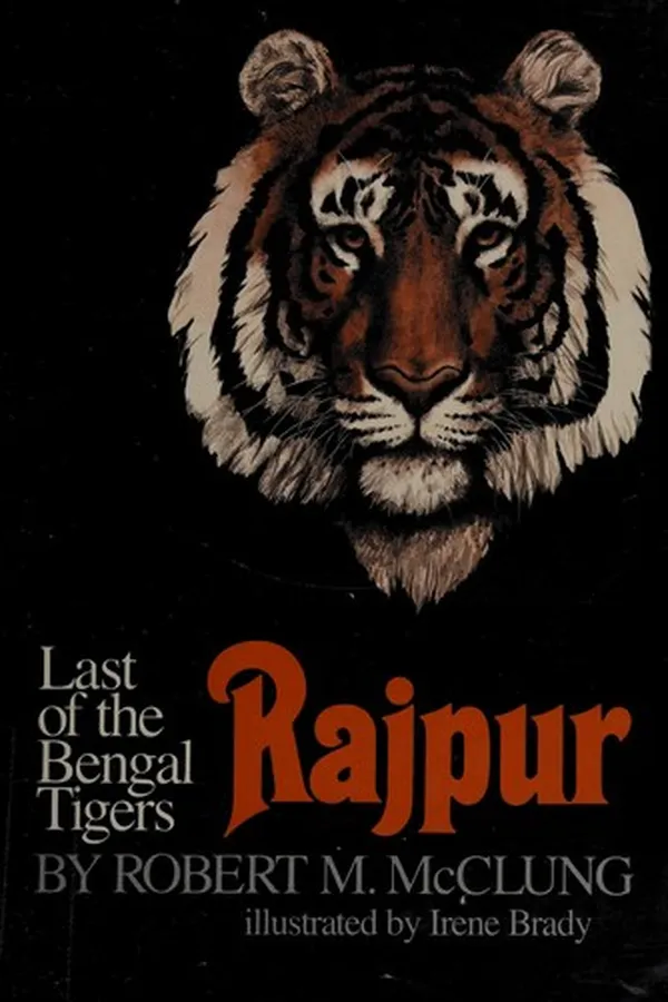 Capa de Rajpur, last of the Bengal tigers