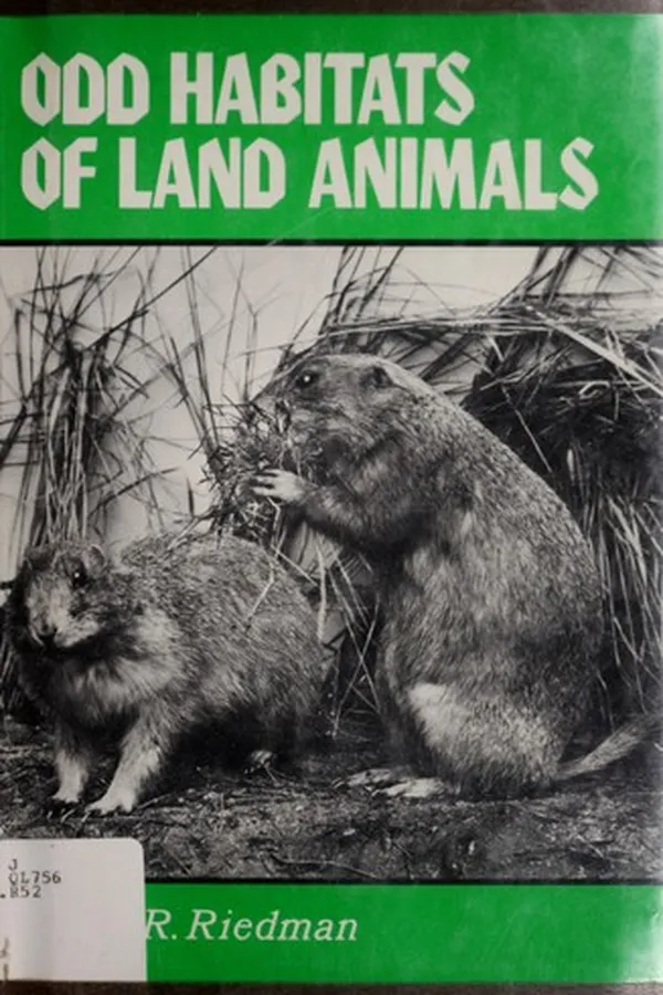 Capa de Odd habitats of land animals