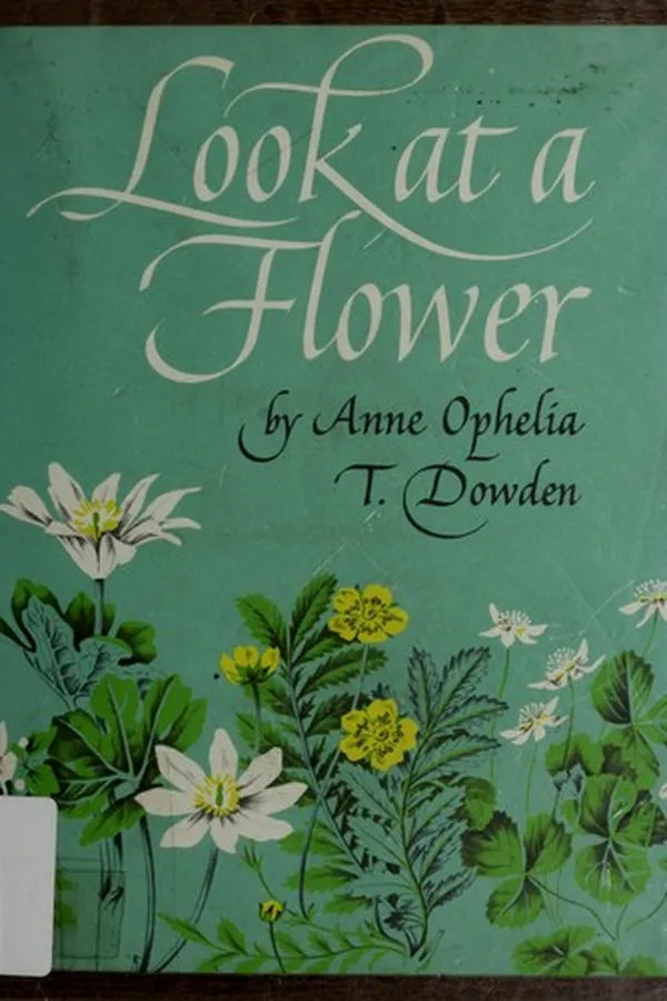 Capa de Look at a flower