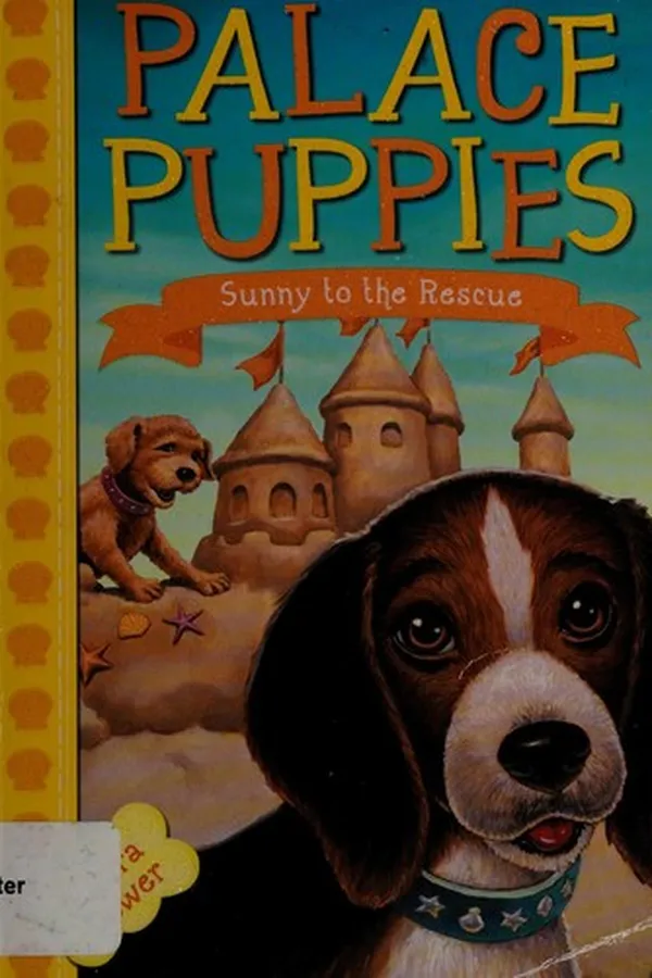 Capa de Sunny to the rescue