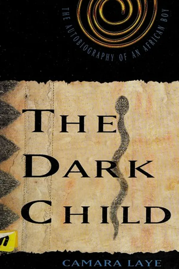 Capa de Enfant noir