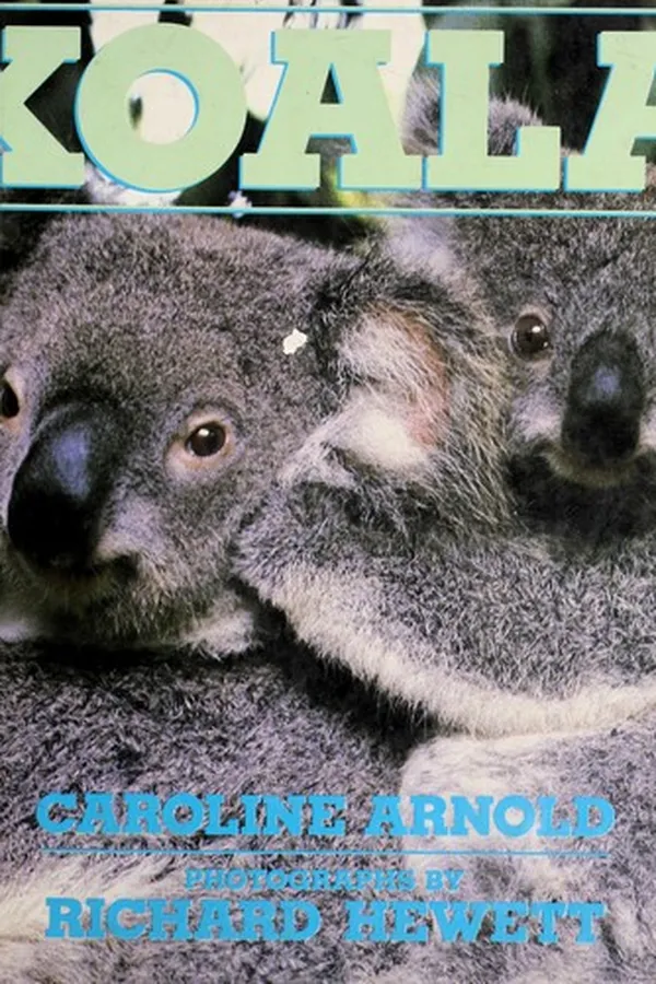Capa de Koala