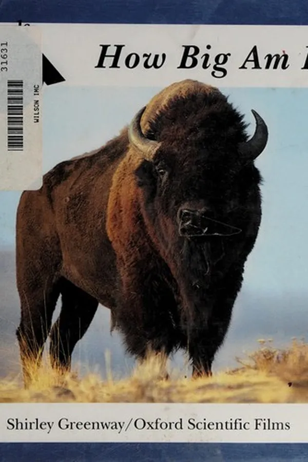 Capa de How big am I?